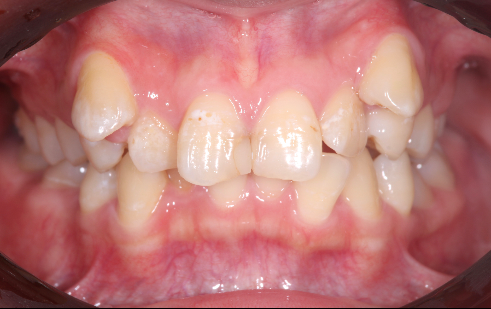 コンサルティング＆カウンセリング